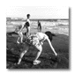 a11.gif: 4Kb