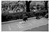 c01s.jpg:5616byte