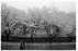 c04s.jpg:4743byte