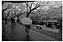 c06s.jpg:5720byte