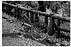 c09s.jpg:6596byte
