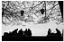 c10s.jpg:6825byte