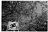 c13s.jpg:6313byte