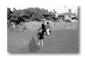 se28.gif: 3Kb