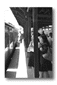 t14.gif: 3Kb