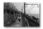 t46.gif: 3Kb