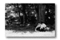 u13.gif: 3Kb