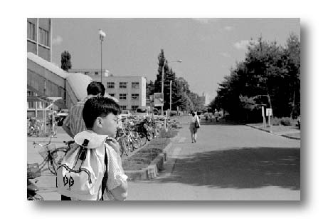 u16.jpg:[24517byte]