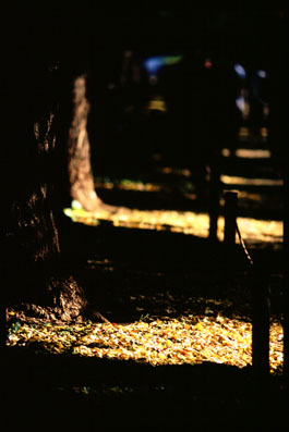 g05.jpg:[23636byte]