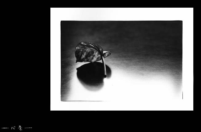30.jpg:[19367byte]