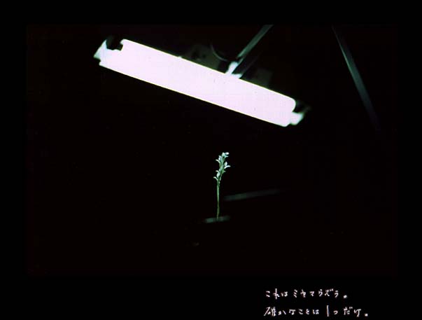 46.jpg:[14274byte]