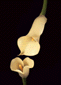 991014/02.gif: 5Kb
