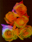 rose02.gif: 5Kb