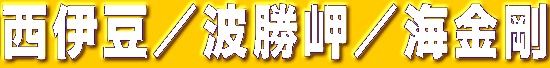 ���ɓ��^�g�����^�C����