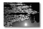 a18.gif: 3Kb