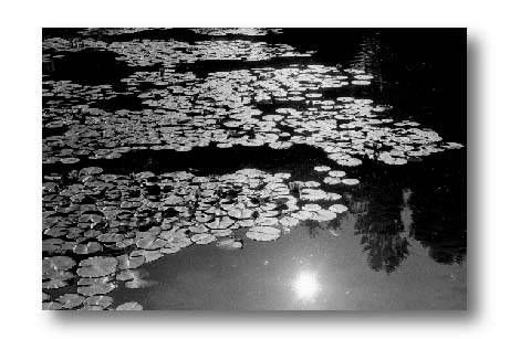 a18.jpg:[35422byte]