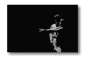 s10.gif: 2Kb