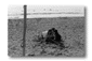 se08.gif: 3Kb