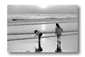 se16.gif: 3Kb