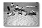 se19.gif: 3Kb