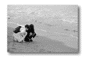 se21.gif: 3Kb