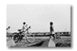 se23.gif: 3Kb