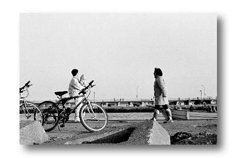 se23.jpg:[23417byte]
