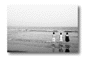se51.gif: 3Kb