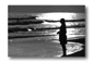 se71.gif: 3Kb