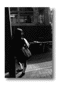t12.gif: 3Kb