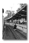 t24.gif: 3Kb