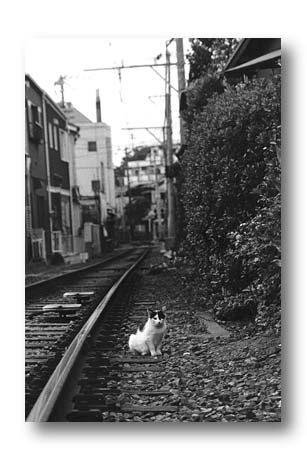 t25.jpg:[29879byte]