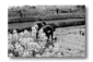 u18.gif: 3Kb