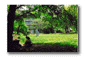 c39.gif: 4Kb