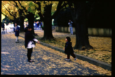 g01.jpg:[37076byte]