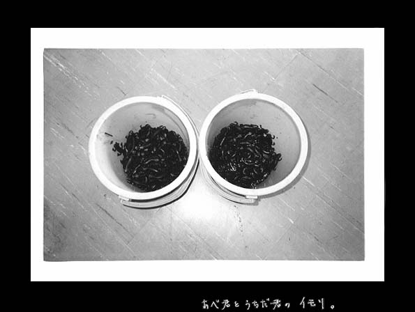 49.jpg:[31337byte]