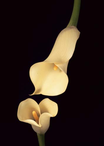 02.jpg:[14203byte]
