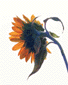 991014/03.gif: 5Kb
