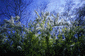 991014/10.gif: 5Kb