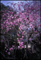 991014/11.gif: 5Kb
