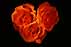 rose05s.jpg:1382byte