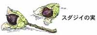 �X�_�W�C�̃h���O��